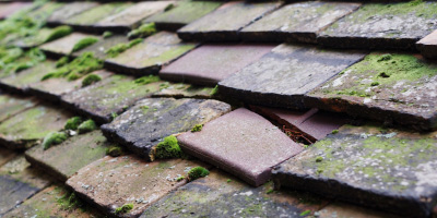 Heol Ddu roof repair costs